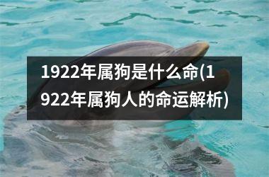 1922年属狗是什么命(1922年属狗人的命运解析)