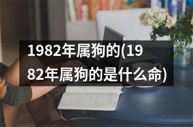 <h3>1982年属狗的(1982年属狗的是什么命)