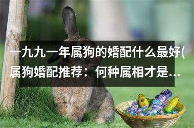<h3>一九九一年属狗的婚配什么最好(属狗婚配推荐：何种属相才是最佳配对？)