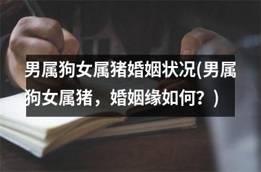 <h3>男属狗女属猪婚姻状况(男属狗女属猪，婚姻缘如何？)