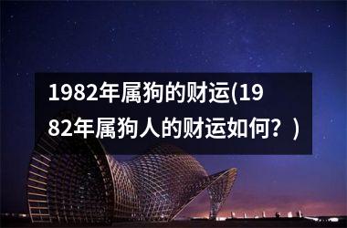 1982年属狗的财运(1982年属狗人的财运如何？)
