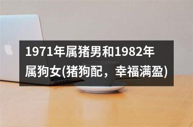 <h3>1971年属猪男和1982年属狗女(猪狗配，幸福满盈)