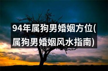 94年属狗男婚姻方位(属狗男婚姻风水指南)
