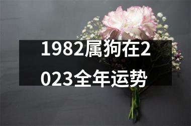 <h3>1982属狗在2025全年运势