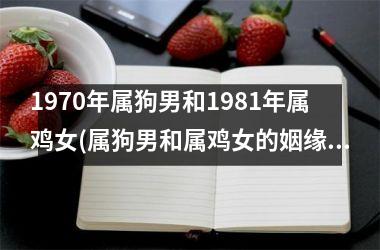 1970年属狗男和1981年属鸡女(属狗男和属鸡女的姻缘奇遇记)