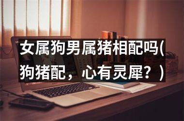 <h3>女属狗男属猪相配吗(狗猪配，心有灵犀？)