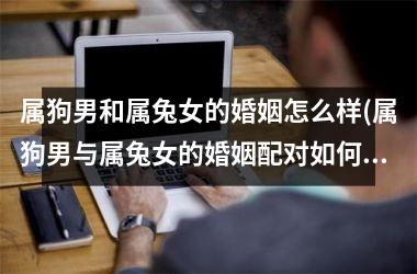 <h3>属狗男和属兔女的婚姻怎么样(属狗男与属兔女的婚姻配对如何？)