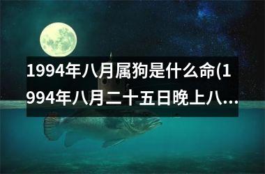 <h3>1994年八月属狗是什么命(1994年八月二十五日晚上八点生辰八字)