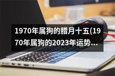 <h3>1970年属狗的腊月十五(1970年属狗的2025年运势和财运怎么样)