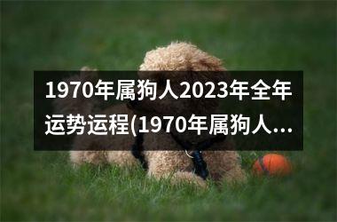 1970年属狗人2023年全年运势运程(1970年属狗人2023年运势运程每月运程)