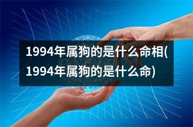 1994年属狗的是什么命相(1994年属狗的是什么命)