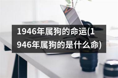 1946年属狗的命运(1946年属狗的是什么命)