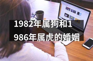 1982年属狗和1986年属虎的婚姻