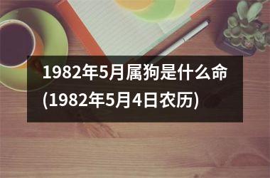 1982年5月属狗是什么命(1982年5月4日农历)