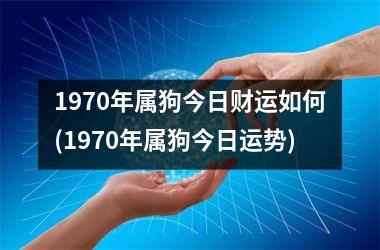 <h3>1970年属狗今日财运如何(1970年属狗今日运势)