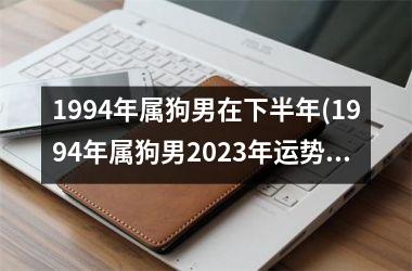 1994年属狗男在下半年(1994年属狗男2023年运势及运程)