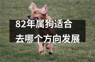 <h3>82年属狗适合去哪个方向发展
