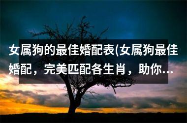 <h3>女属狗的最佳婚配表(女属狗最佳婚配，完美匹配各生肖，助你抉择人生选择！)
