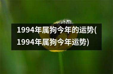 <h3>1994年属狗今年的运势(1994年属狗今年运势)