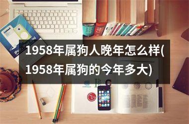 <h3>1958年属狗人晚年怎么样(1958年属狗的今年多大)