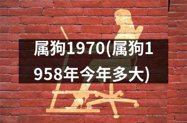 属狗1970(属狗1958年今年多大)