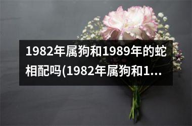 1982年属狗和1989年的蛇相配吗(1982年属狗和1989年蛇的配对契合吗？)