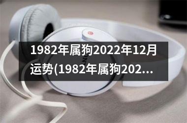 1982年属狗2022年12月运势(1982年属狗2022年运势及运程每月运程)