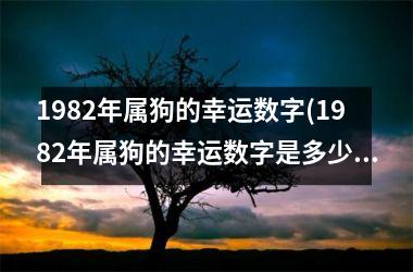 1982年属狗的幸运数字(1982年属狗的幸运数字是多少)
