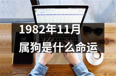 <h3>1982年11月属狗是什么命运