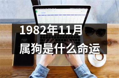 1982年11月属狗是什么命运