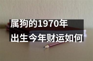 <h3>属狗的1970年出生今年财运如何