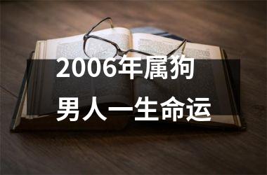 2006年属狗男人一生命运