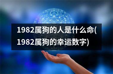 1982属狗的人是什么命(1982属狗的幸运数字)