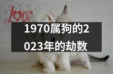 1970属狗的2025年的劫数