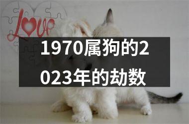 1970属狗的2023年的劫数