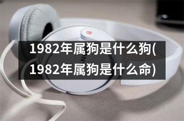 1982年属狗是什么狗(1982年属狗是什么命)