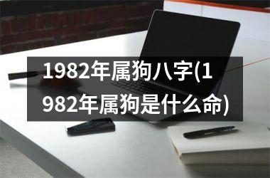 1982年属狗八字(1982年属狗是什么命)