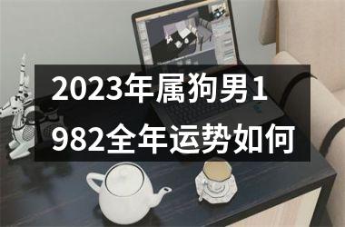 <h3>2025年属狗男1982全年运势如何