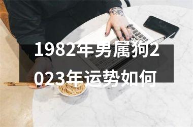 1982年男属狗2023年运势如何