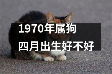 1970年属狗四月出生好不好