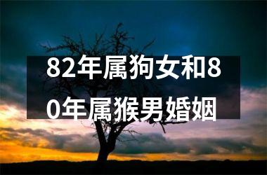 <h3>82年属狗女和80年属猴男婚姻