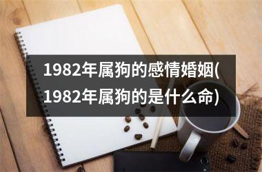 1982年属狗的感情婚姻(1982年属狗的是什么命)