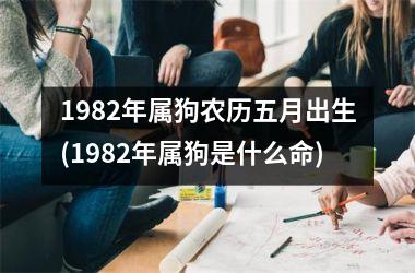 1982年属狗农历五月出生(1982年属狗是什么命)