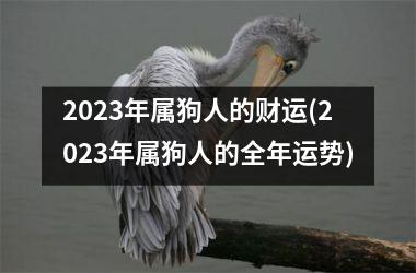 2023年属狗人的财运(2023年属狗人的全年运势)