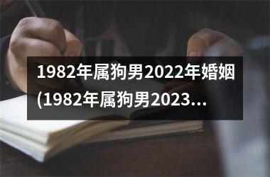 1982年属狗男2022年婚姻(1982年属狗男2023年运势及运程)