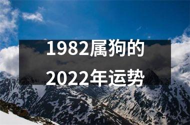 <h3>1982属狗的2025年运势