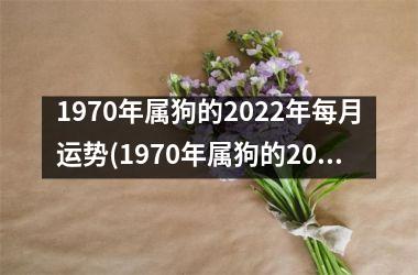 1970年属狗的2022年每月运势(1970年属狗的2023年运势和财运怎么样)