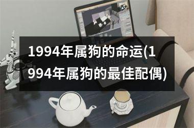 1994年属狗的命运(1994年属狗的最佳配偶)