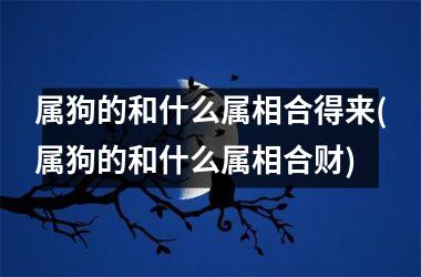 属狗的和什么属相合得来(属狗的和什么属相合财)