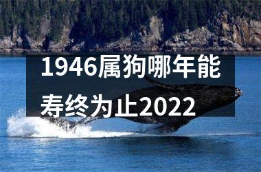 <h3>1946属狗哪年能寿终为止2025